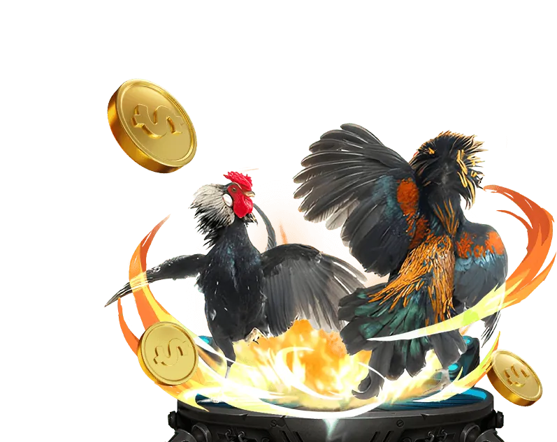 Khung cảnh sân đấu đá gà trực tuyến chuyên nghiệp tại lucky 8 game bài